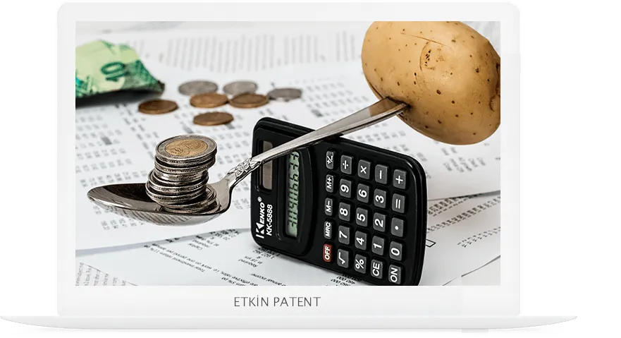 finansal davranışlara dair kombinasyon modeller-çubuk patent